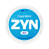 ZYN Cool Mint Mini S2