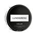 Lundgrens Fjällen2