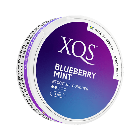 XQS Blueberry Mint Slim