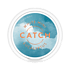 Catch White Eucalyptus Mini