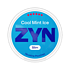 ZYN Cool Mint Ice Slim S6
