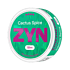 ZYN Cactus Spice Slim S4