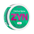 ZYN Cactus Spice Slim S4