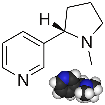 Hälsorisker med nikotin och olika tobaksprodukter