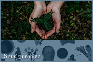 Guide till att återvinna snusdosor