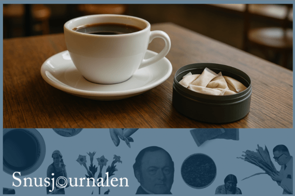 Nikotin vs koffein