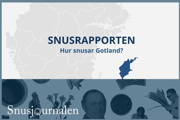 hur snusar gotlänningar?