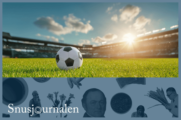 Snus, sång och segervrål – så snusar de allsvenska lagens supportrar