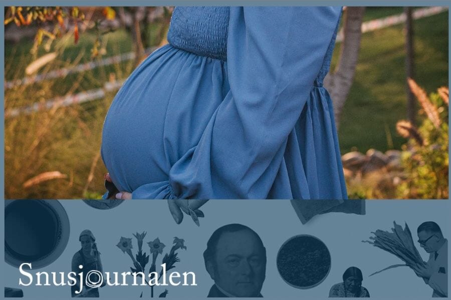 Snusa när du är gravid?