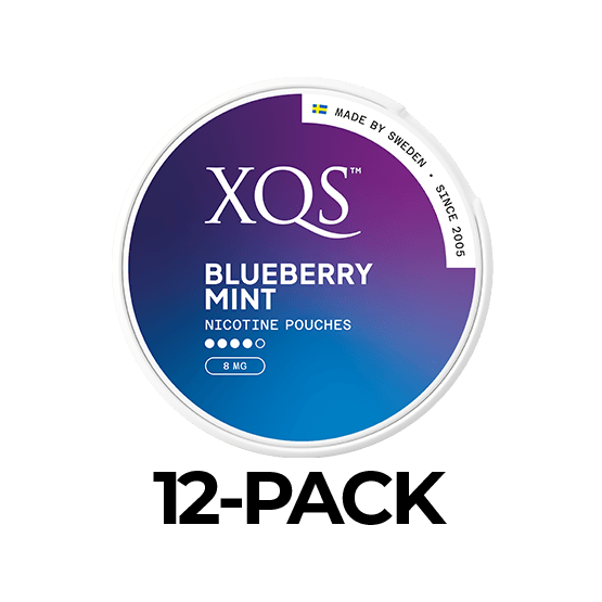 XQS Blueberry Mint Slim Strong 12-pack